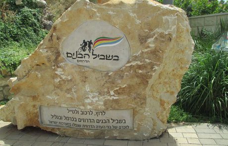 הברית האמיצה- הקהילה הדרוזית ישראלית