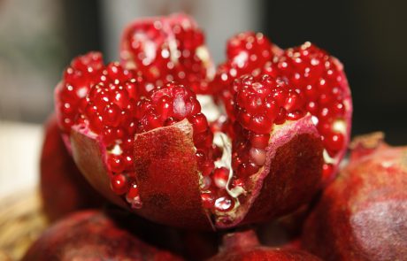 Sephardic Rosh Hashanah Simanim Seder